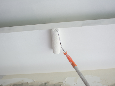 Gypsum and painting works